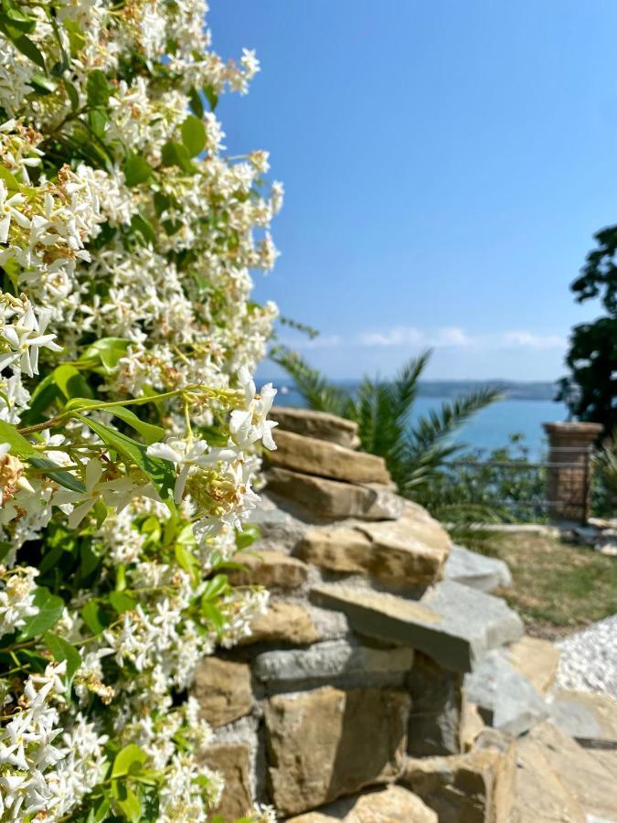 Sunvilla Koper Exteriör bild