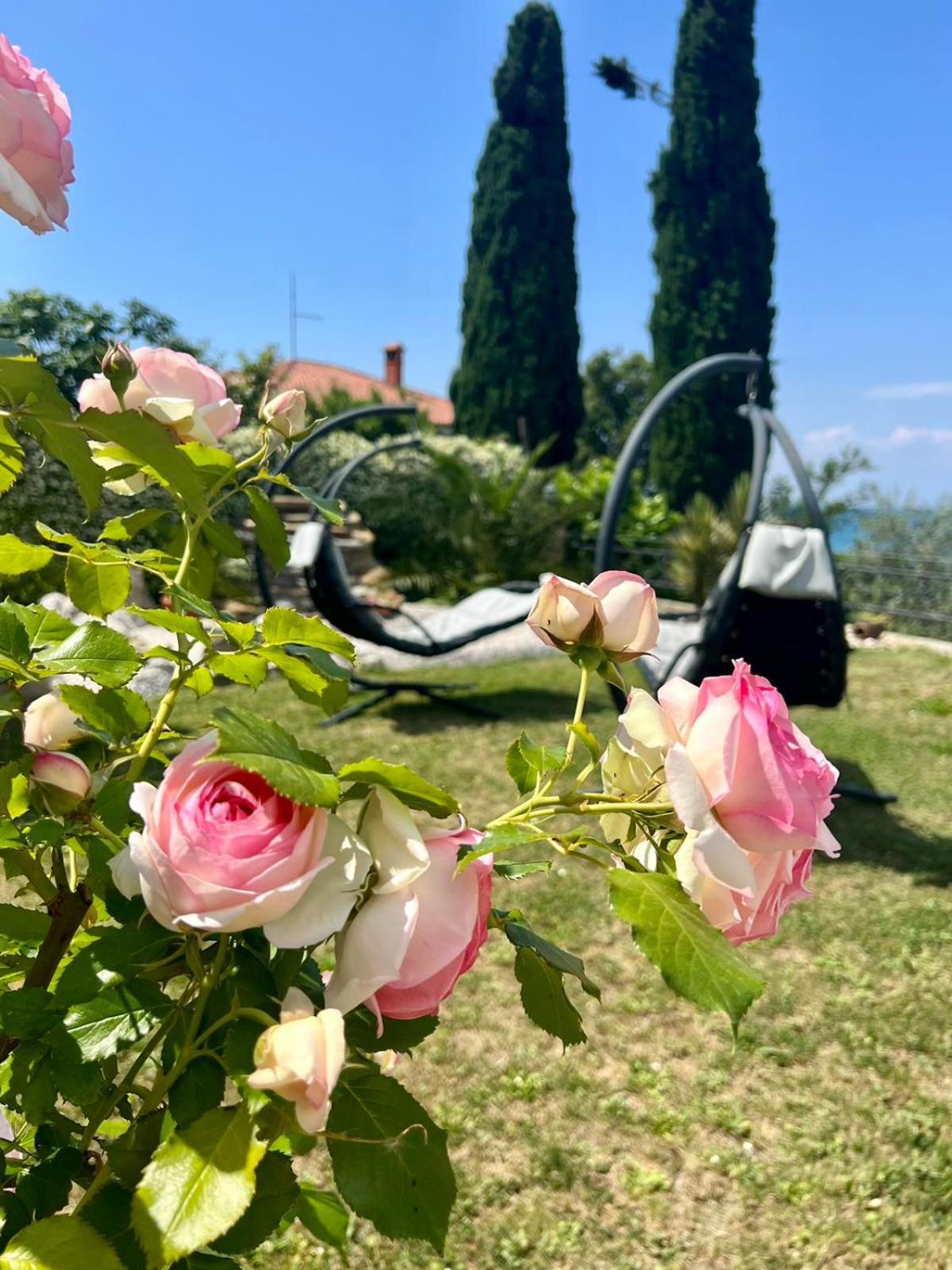 Sunvilla Koper Exteriör bild